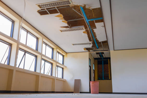 Best Fire Damage Restoration  in Bushland, TX