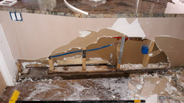 Best Water damage restoration near me  in Bushland, TX