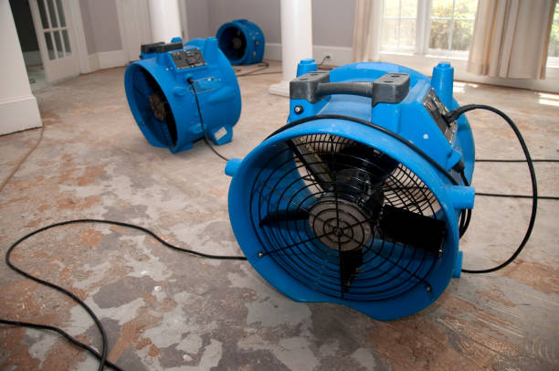 Best Water damage restoration near me  in Bushland, TX