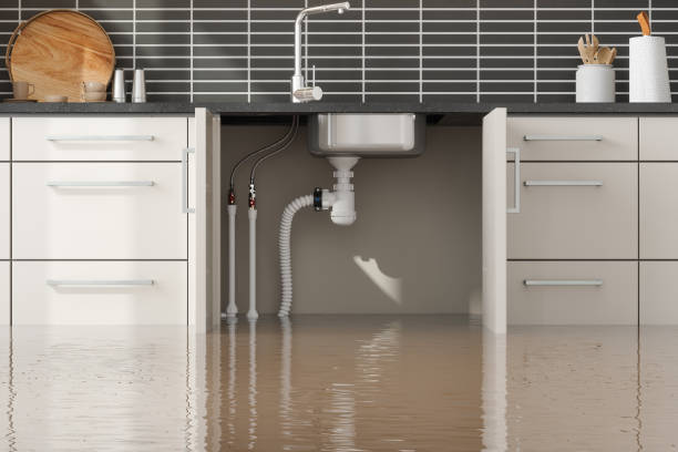 Best Basement water damage restoration  in Bushland, TX