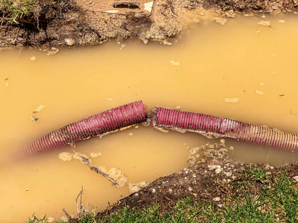 Best Mold removal after water damage  in Bushland, TX